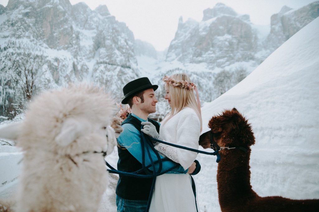 heiraten mit alpakas im colfosco alta badia winter